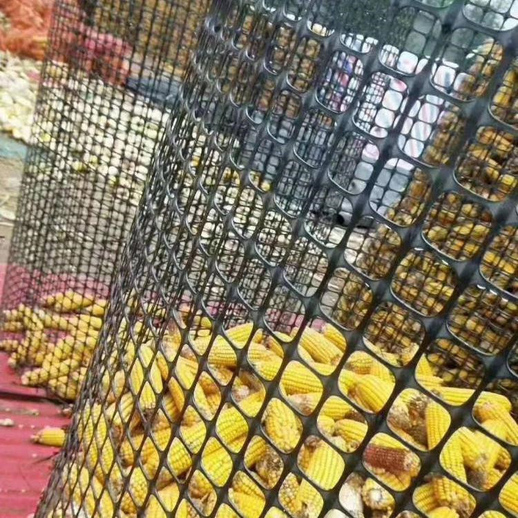 陜西雙向拉伸塑料土工格柵的應用領域